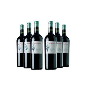 Yacochuya Malbec x6