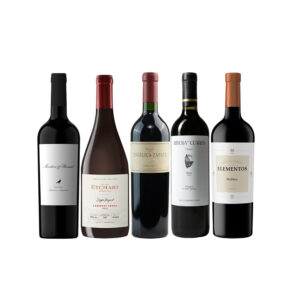 Marciori & Barraud Malbuc + Echart Malbec + Angélica Zapata + Araucana De Cuarzo + Elementos Malbec