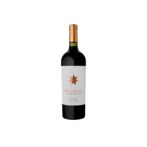 Clos De Los Siete Malbec
