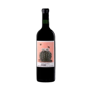 Matias Riccitelli Malbec Gualtallary 2024